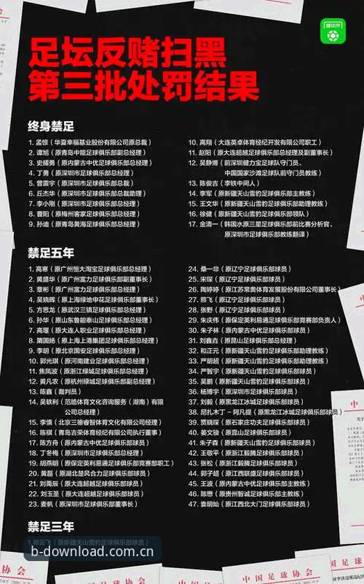 中国足球反腐风暴深度解析：第三批禁足名单全面解读与b体育官方视角下的行业反思
